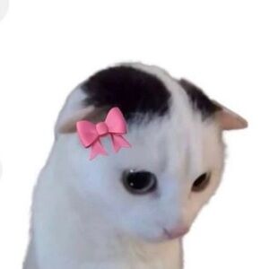 Meet your Posher, Mia